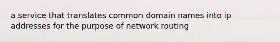 a service that translates common domain names into ip addresses for the purpose of network routing