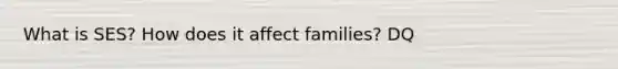 What is SES? How does it affect families? DQ