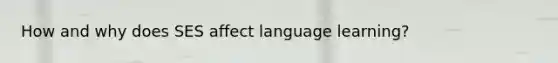 How and why does SES affect language learning?