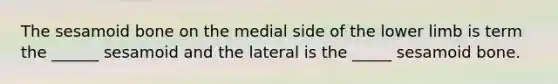 The sesamoid bone on the medial side of the lower limb is term the ______ sesamoid and the lateral is the _____ sesamoid bone.