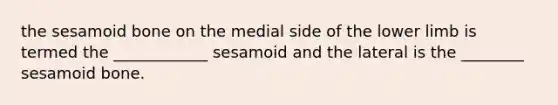 the sesamoid bone on the medial side of the lower limb is termed the ____________ sesamoid and the lateral is the ________ sesamoid bone.