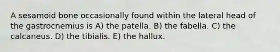 A sesamoid bone occasionally found within the lateral head of the gastrocnemius is A) the patella. B) the fabella. C) the calcaneus. D) the tibialis. E) the hallux.