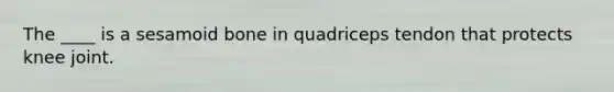 The ____ is a sesamoid bone in quadriceps tendon that protects knee joint.