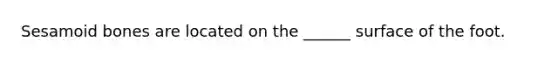 Sesamoid bones are located on the ______ surface of the foot.