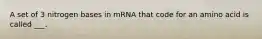 A set of 3 nitrogen bases in mRNA that code for an amino acid is called ___.