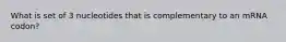 What is set of 3 nucleotides that is complementary to an mRNA codon?