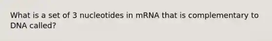 What is a set of 3 nucleotides in mRNA that is complementary to DNA called?