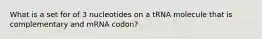 What is a set for of 3 nucleotides on a tRNA molecule that is complementary and mRNA codon?