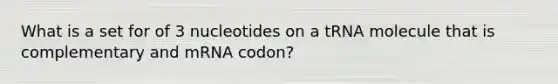 What is a set for of 3 nucleotides on a tRNA molecule that is complementary and mRNA codon?