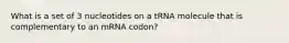 What is a set of 3 nucleotides on a tRNA molecule that is complementary to an mRNA codon?