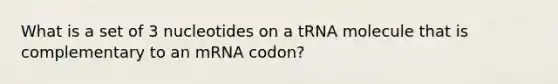 What is a set of 3 nucleotides on a tRNA molecule that is complementary to an mRNA codon?