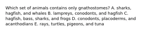 Which set of animals contains only gnathostomes? A. sharks, hagfish, and whales B. lampreys, conodonts, and hagfish C. hagfish, bass, sharks, and frogs D. conodonts, placoderms, and acanthodians E. rays, turtles, pigeons, and tuna