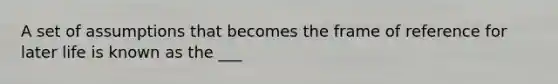 A set of assumptions that becomes the frame of reference for later life is known as the ___