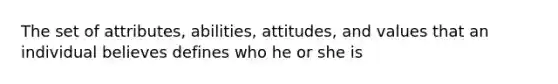 The set of attributes, abilities, attitudes, and values that an individual believes defines who he or she is