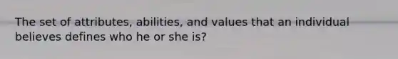 The set of attributes, abilities, and values that an individual believes defines who he or she is?