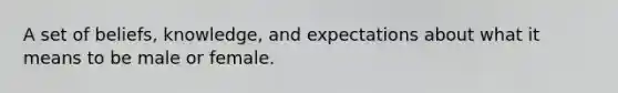 A set of beliefs, knowledge, and expectations about what it means to be male or female.