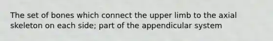 The set of bones which connect the upper limb to the axial skeleton on each side; part of the appendicular system
