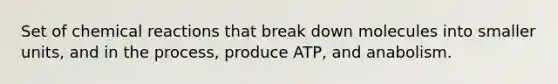 Set of <a href='https://www.questionai.com/knowledge/kc6NTom4Ep-chemical-reactions' class='anchor-knowledge'>chemical reactions</a> that break down molecules into smaller units, and in the process, produce ATP, and anabolism.