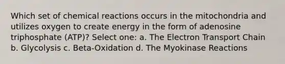 Which set of chemical reactions occurs in the mitochondria and utilizes oxygen to create energy in the form of adenosine triphosphate (ATP)? Select one: a. The Electron Transport Chain b. Glycolysis c. Beta-Oxidation d. The Myokinase Reactions