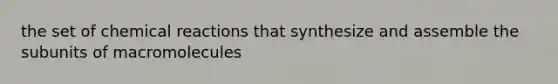 the set of chemical reactions that synthesize and assemble the subunits of macromolecules