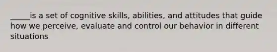 _____is a set of cognitive skills, abilities, and attitudes that guide how we perceive, evaluate and control our behavior in different situations