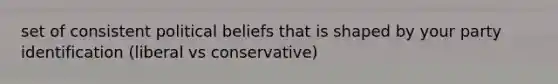 set of consistent political beliefs that is shaped by your party identification (liberal vs conservative)