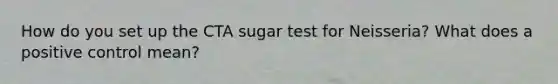 How do you set up the CTA sugar test for Neisseria? What does a positive control mean?