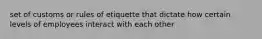 set of customs or rules of etiquette that dictate how certain levels of employees interact with each other