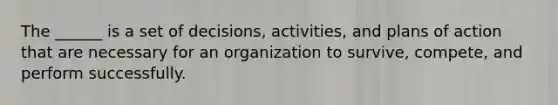 The ______ is a set of decisions, activities, and plans of action that are necessary for an organization to survive, compete, and perform successfully.