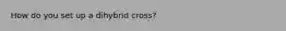 How do you set up a dihybrid cross?