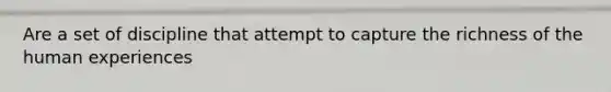 Are a set of discipline that attempt to capture the richness of the human experiences