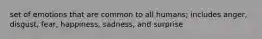 set of emotions that are common to all humans; includes anger, disgust, fear, happiness, sadness, and surprise