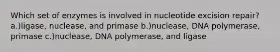 Which set of enzymes is involved in nucleotide excision repair? a.)ligase, nuclease, and primase b.)nuclease, DNA polymerase, primase c.)nuclease, DNA polymerase, and ligase