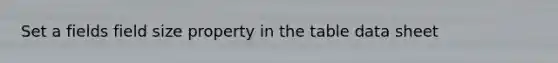 Set a fields field size property in the table data sheet