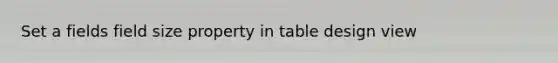 Set a fields field size property in table design view