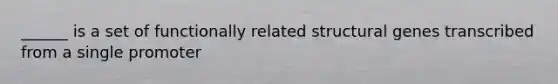 ______ is a set of functionally related structural genes transcribed from a single promoter