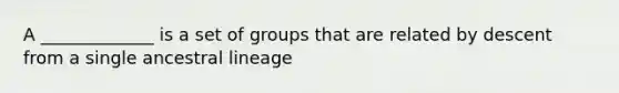 A _____________ is a set of groups that are related by descent from a single ancestral lineage