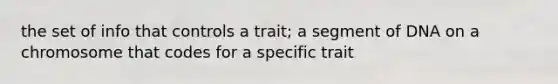 the set of info that controls a trait; a segment of DNA on a chromosome that codes for a specific trait