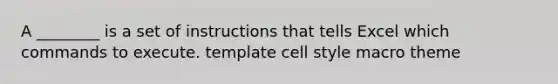 A ________ is a set of instructions that tells Excel which commands to execute. template cell style macro theme