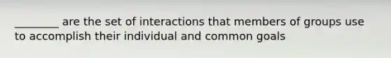 ________ are the set of interactions that members of groups use to accomplish their individual and common goals