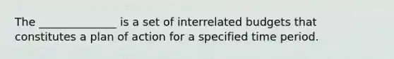 The ______________ is a set of interrelated budgets that constitutes a plan of action for a specified time period.