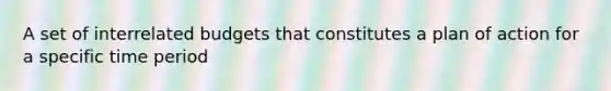 A set of interrelated budgets that constitutes a plan of action for a specific time period