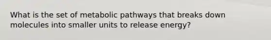 What is the set of metabolic pathways that breaks down molecules into smaller units to release energy?