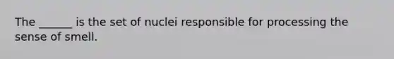 The ______ is the set of nuclei responsible for processing the sense of smell.