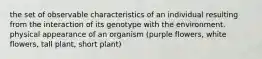 the set of observable characteristics of an individual resulting from the interaction of its genotype with the environment. physical appearance of an organism (purple flowers, white flowers, tall plant, short plant)