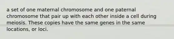 a set of one maternal chromosome and one paternal chromosome that pair up with each other inside a cell during meiosis. These copies have the same genes in the same locations, or loci.