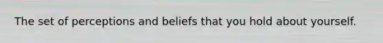 The set of perceptions and beliefs that you hold about yourself.