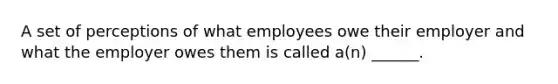 A set of perceptions of what employees owe their employer and what the employer owes them is called a(n) ______.