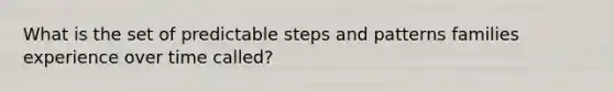 What is the set of predictable steps and patterns families experience over time called?