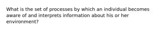 What is the set of processes by which an individual becomes aware of and interprets information about his or her environment?